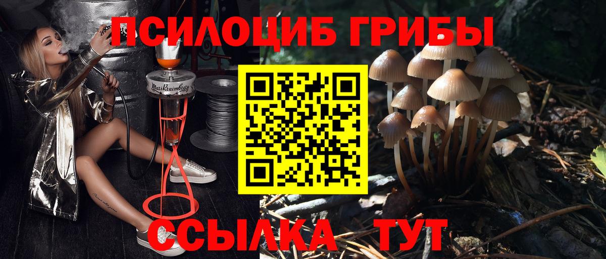 Псилоцибиновые грибы прущие грибы Городец