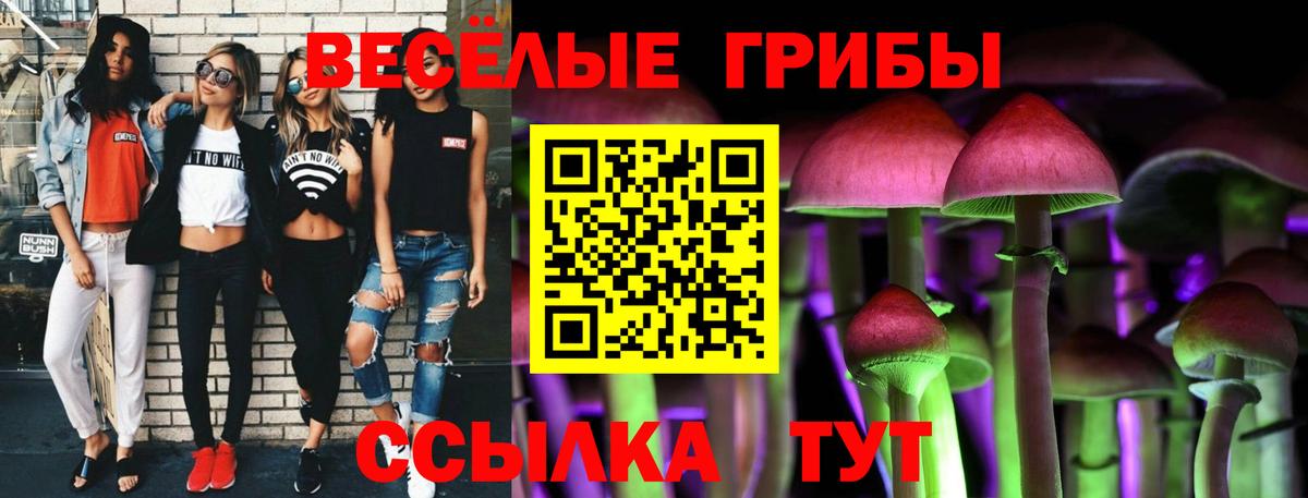 Городец  Псилоцибиновые грибы Magic Shrooms  Вход с VPN 